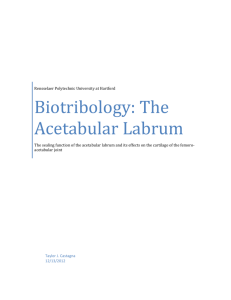 Castagna-Biotribology_The Acetabular Labrum_Versi+