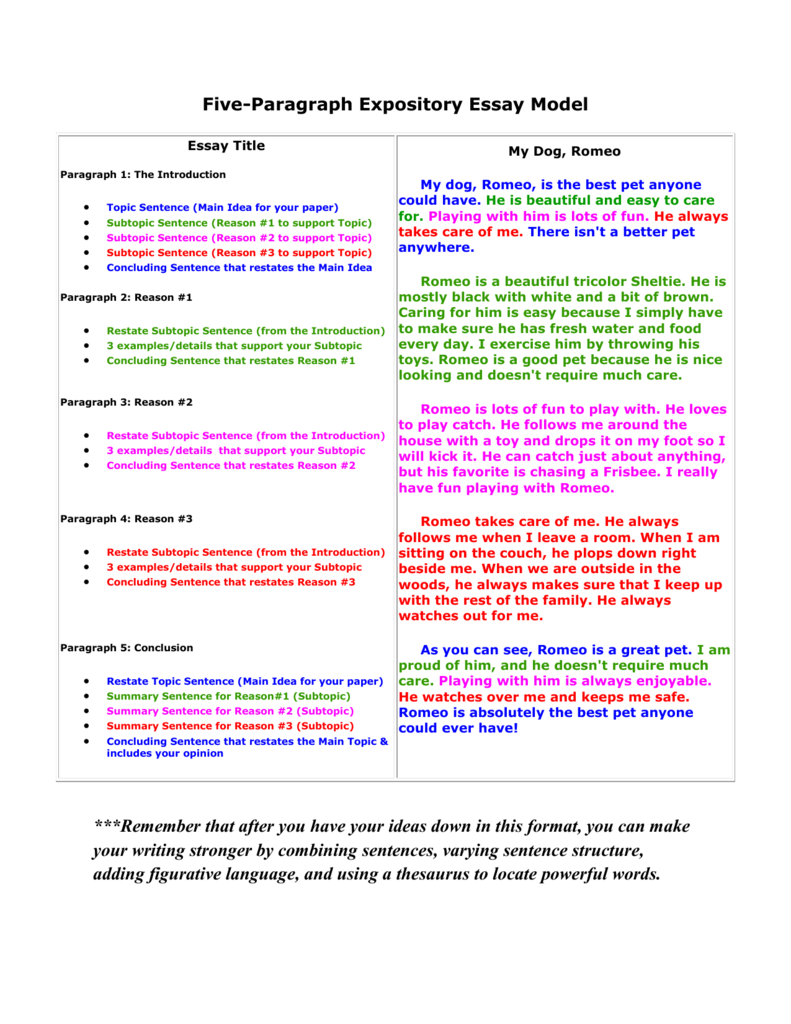 model essay csas