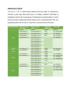 Additional file 3: Table S3.