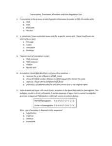 Transcription, Translation, Mutations and Gene Regulation Test