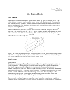 Line Transect Basics