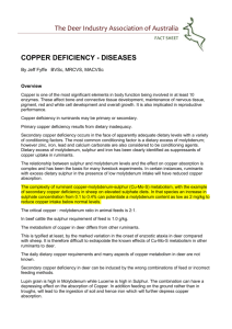 copper deficiency