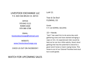 WWR BAY ROAN - Livestock Exchange LLC