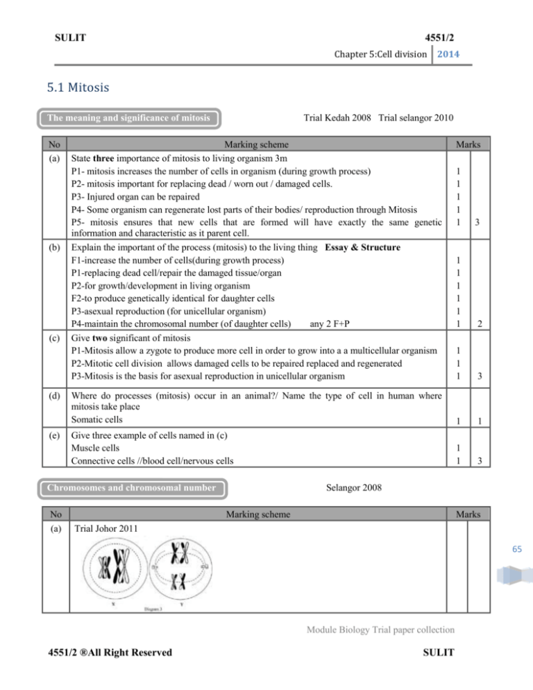 chapter-5-cell-division