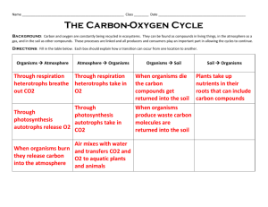 Carbon cycle notes LBMS KEY