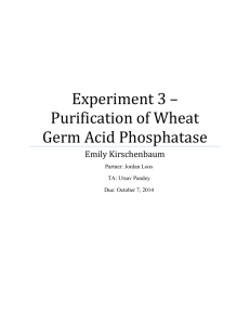 Experiment 3 * Purification of Wheat Germ Acid Phosphatase