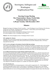 Steering Group Minutes - Washington Parish Council