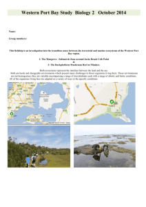 Western Port Bay Study Biology 2 October 2014 - SandyBiology1-2