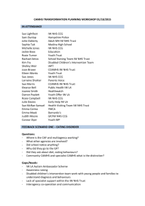Workshop Feedback: CAMHS Transformation Planning