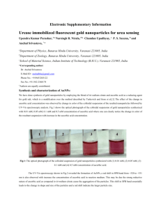 Urease immobilized fluorescent gold nanoparticles for urea sensing