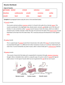 Topic 1 - Muscles_Workbook Answers