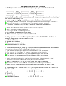 Keystone Biology MC Review Questions 1. The diagram below