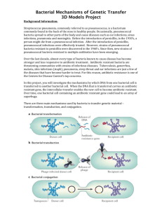 Mechanisms of Genetic Transfer of Antibiotic Resistance 3D models