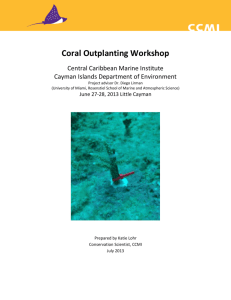 Coral outplanting workshop - Central Caribbean Marine Institute