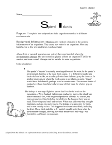 Microsoft Word - squirrel_island.doc