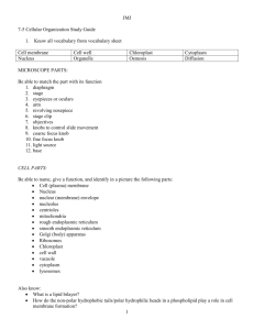 Cell Structure and Function Study Guide