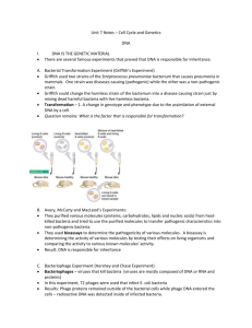 Unit 7 Notes – Cell Cycle and Genetics DNA DNA IS THE GENETIC