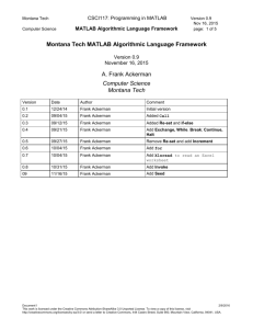 MATLAB Algorithmic Language Framework