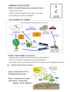 Carbon Cycle Notes