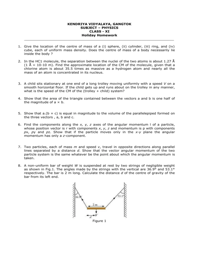 Xi Holiday Hw Physics