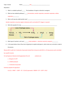 Topic 3 review Name