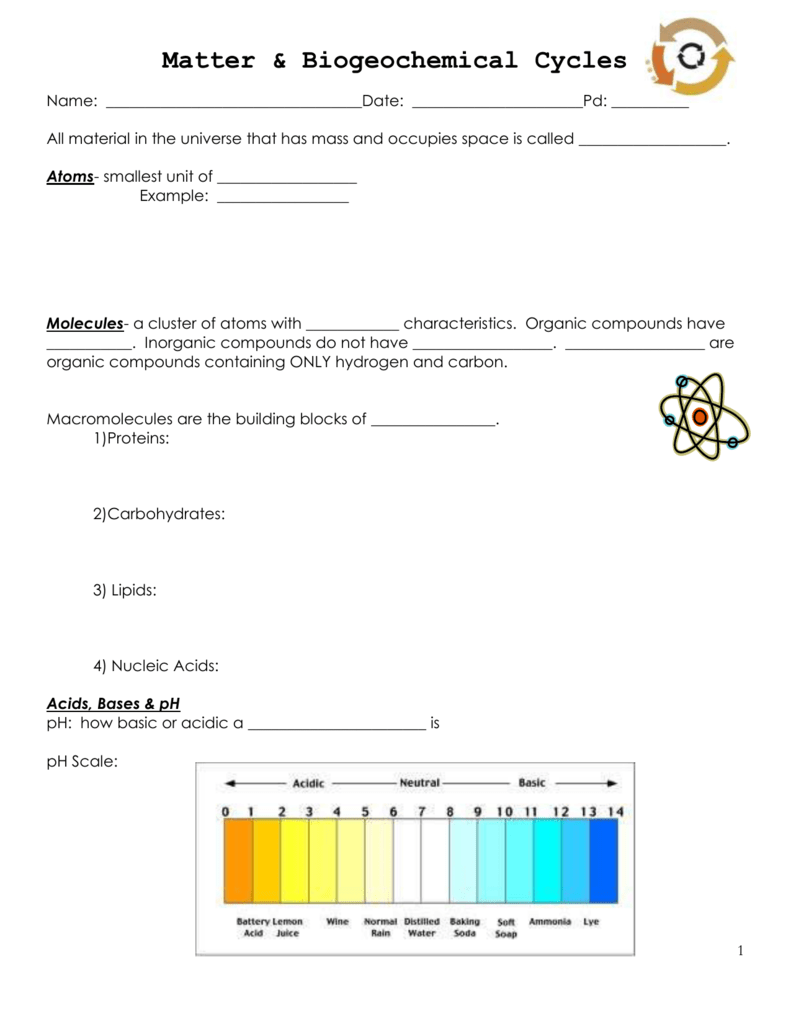 Biogeochemcial cycles Throughout Biogeochemical Cycles Worksheet Answers