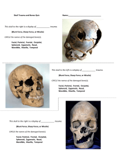 Skull Trauma and Bones