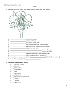 BIO101 plant biology homework Name Label the parts of the flower