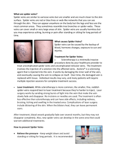 What are spider veins? - Great Lakes Surgical Associates