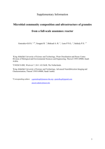 Microbial community composition and ultrastructure of granules from