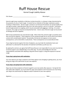 and print our kennel cough waiver