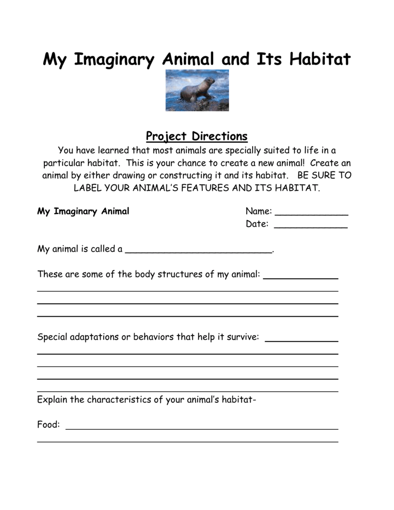 My Imaginary Animal and Its Habitat Project Directions