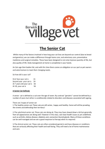 The Senior Cat - The Berwick Village Vet