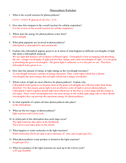 30 Worksheet Photosynthesis And Cell Energy Biology Answers Worksheet Resource Plans