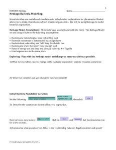 NetLogo Bacteria Modeling