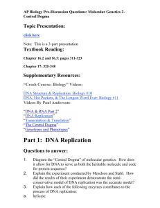 DNA Replication Questions to answer