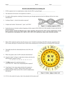 Final Exam Review