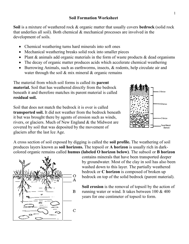 Soil Formation Worksheet - Wikispaces Inside Soil Formation Worksheet Answers