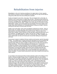 Injury Rehabilitation 2015