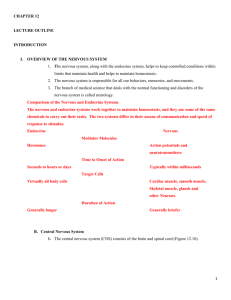 CHAPTER 12 LECTURE OUTLINE INTRODUCTION OVERVIEW OF