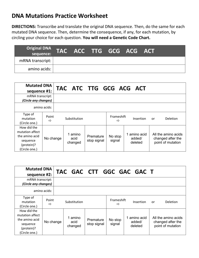 DNA Mutations Practice Worksheet