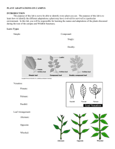 PLANT ADAPTATIONS ON CAMPUS INTRODUCTION The purpose