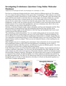 BioinformaticsEvolutionHemoglobinActivityNew