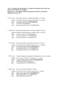 Class 2 - Connemara Pony Breeders Society