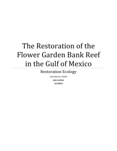 The Restoration of the Flower Garden Bank Reef in the Gulf of Mexico