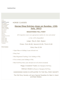 Horse/Dog Entries close on Sunday, 13th July, 2013