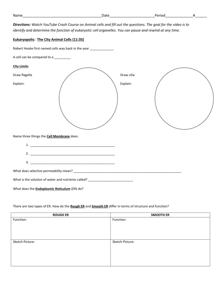 Cells Worksheet