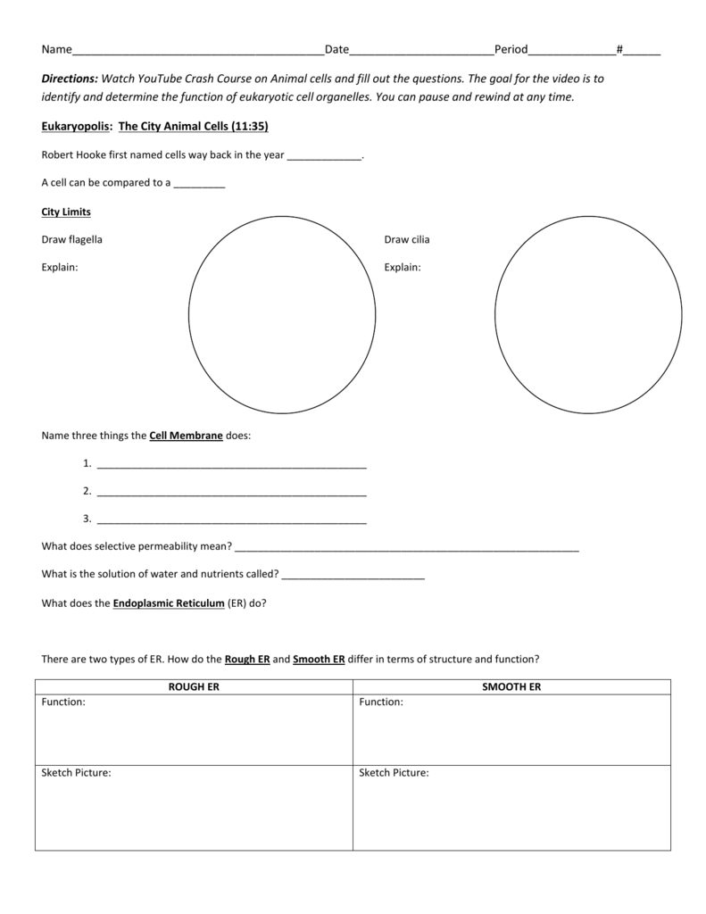 Worksheets On Cells