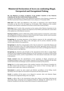 Ministerial Declaration of Accra on combating Illegal