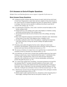 Ch 6 Answers to End-of-Chapter Questions